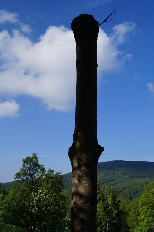 Chata Jawa Strázné Exterior foto